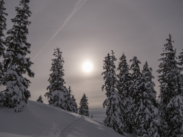 gedämpftes Licht