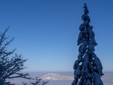 Suppe um den Zinnkopf