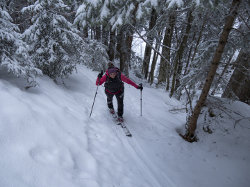 Aufstieg im Wald