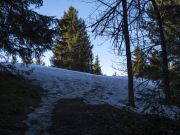 doch noch Schnee