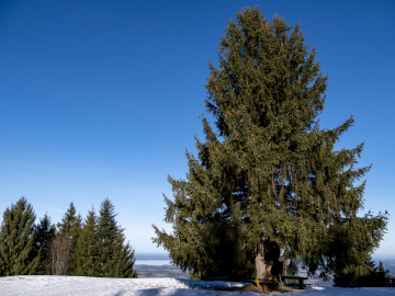 Kaiserwetter