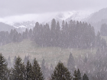 Graupel & Schnee
