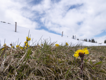 Winter vs. Frühling