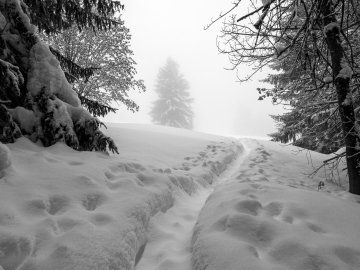 tiefster Winter