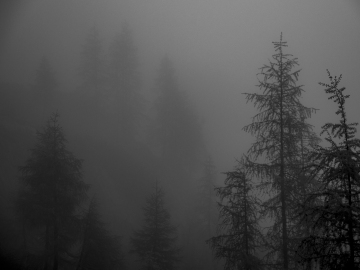 trübe Aussichten