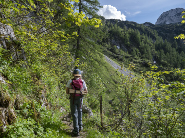 Halbzeit