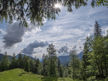 immer mehr Wolken