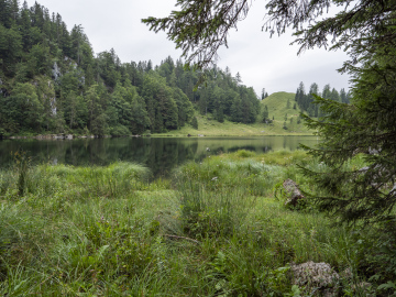am Taubensee