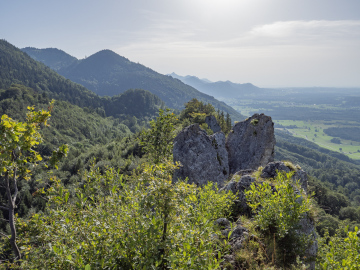 Blick gen Norden