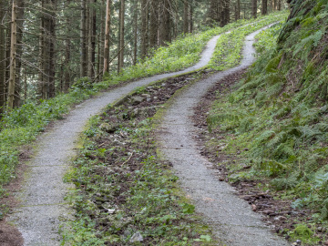 betonierte Forstwege auf 1400 m...!?!