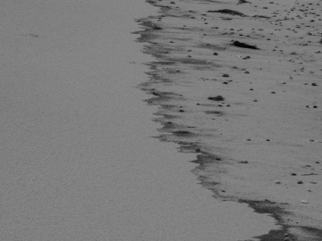follow the line