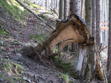 watt bist du denn?