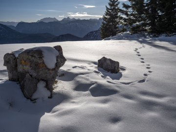 Watzberg & Co.