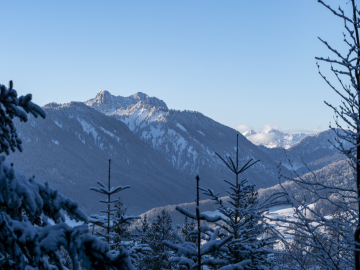 Hörndlblick