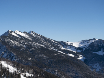Sonntagshorn & Co.