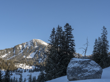 weitgehend grünes Sonntagshorn