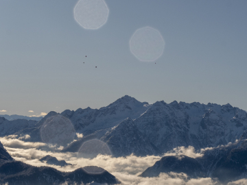 Ballooning
