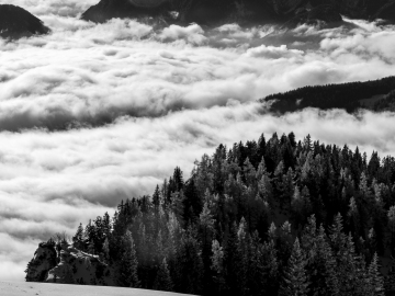 Nebelmeer