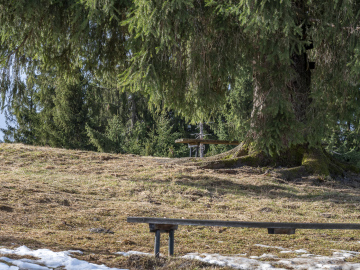 Platz an der Sonne