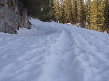 doch noch viel Schnee...