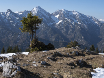 Sonntagshorn & Co.