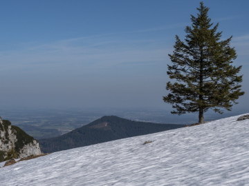 Zinnkopfblick :-)