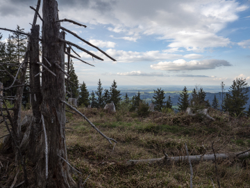 Blick in den Norden