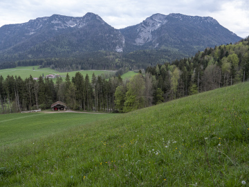 Streicher und Rauschberg