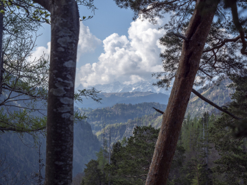 BLick auf die Loferer Alm und die Loferer Steinberge