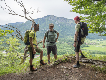 Hochplattenblick