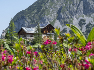 Frühlings-Hütte