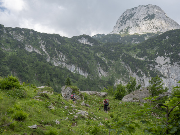 an der Wandalm