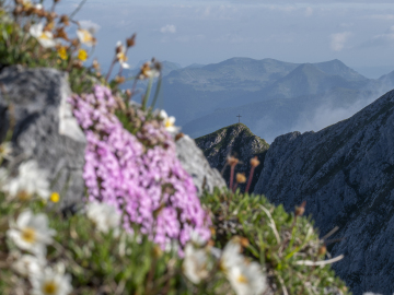 Rückblick zur Tagweide