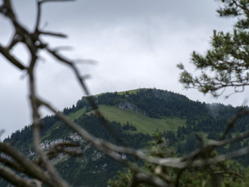 Gern-Blick
