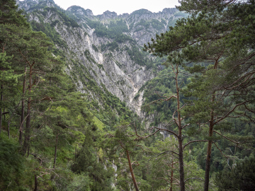 Speikschlucht