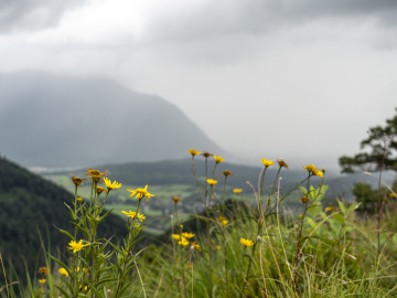 Regen überm Vorderstaufen