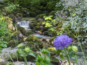 plätschernd... plätschernd...