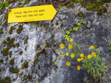 Ton in Ton Ton in Ton