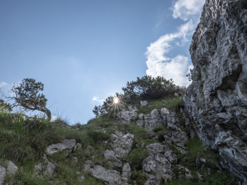 die letzten Meter die letzten Meter