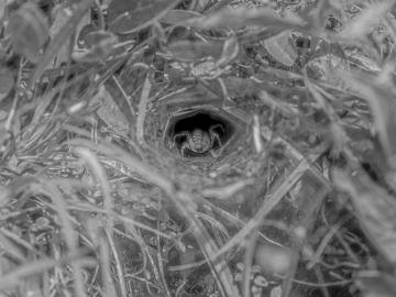 Flucht in die Höhle Flucht in die Höhle