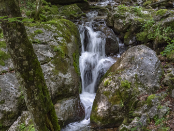 schön hier schön hier
