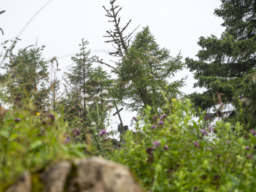 fast geschafft! fast geschafft!