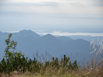 Chiemseeblick Chiemseeblick