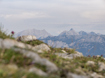 Watzmann und Co.