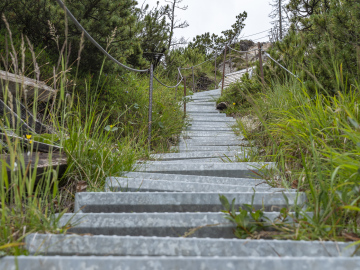 eisenreich eisenreich