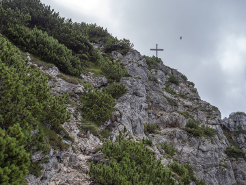 Rückblick zum Dreisesselberg Rückblick zum Dreisesselberg