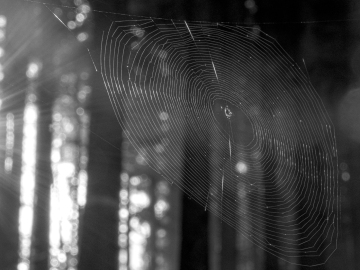 Thekla@work Thekla@work