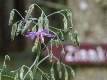 richtiger Weg! richtiger Weg!