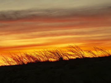 fire in the sky