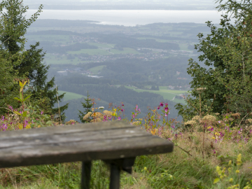Tiefblick